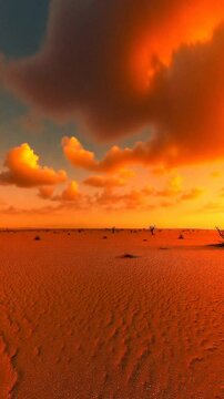 Concept image of climate change, with a lone dead tree in a cracked desert under a fiery sunset - 360 loop video