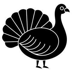turkey vector illustration