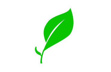 Leaf Icon Vector – Nature, Eco Symbol, Green Environment Illustration