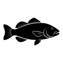 fish vector illustration
