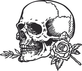 Fototapeta premium skull vector illustration