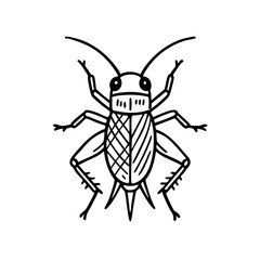 Cricket Doodle - Order Orthoptera
