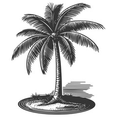 Fototapeta premium Vintage Engraving of a Palm Tree in Woodcut Style Illustration
