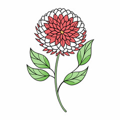 Globe Amaranth Bloom Flower Botanical Drawing Line Art Vector Illustration