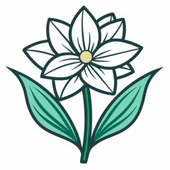 Paperwhite Bloom Flower Botanical Drawing Line Art Vector Illustration