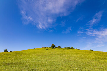 A vibrant green grassy hilltop under a wide, clear blue sky with soft clouds. Perfect for nature, outdoor, and serene landscape themes. © S. Melkin 
