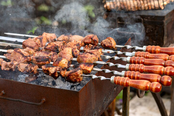 A group of skewers with meat on them are being cooked on a grill. The skewers are wooden and the meat is brown. The grill is hot and the smoke is rising