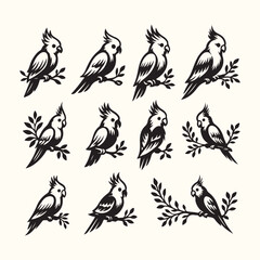 silhouettes of birds, set of birds silhouettes, pigeons collection