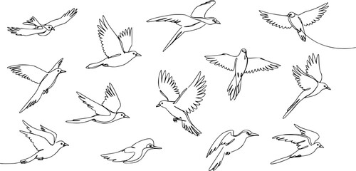 Flying bird continuous line drawing element isolated on white background for decorative element. Vector illustration of animal form in trendy outline style.