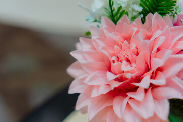 close up of pink flower