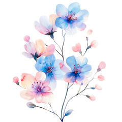 Beautiful Spring Pink and Blue Flowers on Black Background PNG
