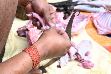 Chopping goat meat. Fresh raw or uncooked goats mutton cutting from Traditional iron tool in Indian village life. chopping goat meat into small pieces.