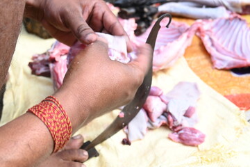 Chopping goat meat. Fresh raw or uncooked goats mutton cutting from Traditional iron tool in Indian village life. chopping goat meat into small pieces.