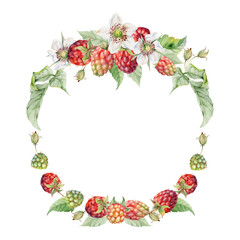 Raspberry ripe garden berries flower buds leaves wreath, hand drawn in watercolor. Dewberry cloudberry mulberry loganberry tayberry. Isolated circle frame illustration. Wedding stationery florist shop