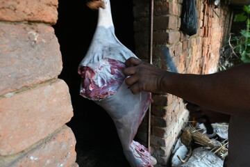 Chopping goat meat. Fresh raw or uncooked goats mutton cutting from Traditional iron tool in Indian village life. chopping goat meat into small pieces.