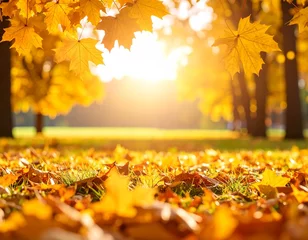 Fleecedeken met foto A dreamy autumn scene with glowing leaves and golden light casting warmth over the forest floor © Rahmat Hidayat