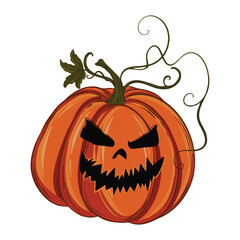 halloween pumpkin jack o lantern illustration art