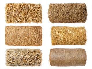 Various collection of rectangular bale of hay, tightly packed straw with rough texture for agricultural and farming purposes isolated on white background
