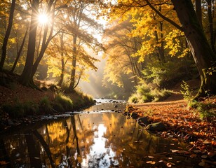 Obraz premium Autumnal forest stream (2)