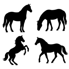 Set of 4 Horse Silhouette PNGs – Elegant Equine Vector Graphics Collection Isolated on a White Background
