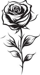 Stylish Black Rose Flower Vector Emblem with Artistic Flair Detailed Black Rose Elegant Floral Vector Logo Icon Design