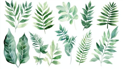 Fototapeta premium Watercolor Greenery: Leaf Collection