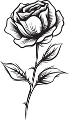 Stylized Rose Flower Black Vector Emblem with Modern Lines Beautiful Black Rose Vector Flower Logo with Artistic Details