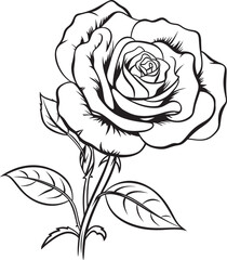 Minimal Rose Line Art Vector Logo with Smooth Black Curves Classic Rose Line Drawing Vector Icon with Refined Black Strokes