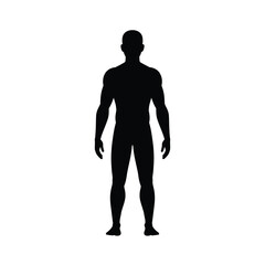 Silhouette of a muscular male figure