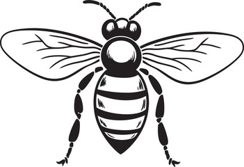 Elegant bee illustration in black vector line art style Stylish bee design element featuring refined black lines