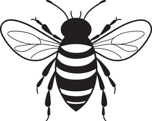 Beautiful bee illustration featuring delicate black vector lines Bold bee vector drawing in solid black with elegant detail