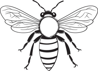 Graceful Bee Vector Icon with Elegant Black Linework Elements Detailed Bee Illustration in Refined Black Vector Line Art