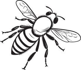 Graceful Bee Vector Drawing in Artistic Black Line Art Elegant Bee Vector Illustration for Modern Logo Design