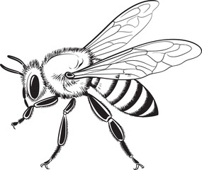 Graceful Bee Vector Design with Smooth Black Line Art Modern Bee Vector Icon Featuring Classic Black Outlines