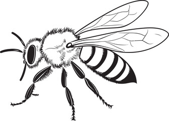 Modern Bee Vector Icon Featuring Classic Black Outlines Beautiful Black Bee Illustration with Intricate Vector Details