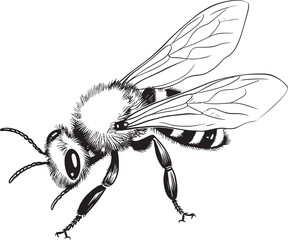 Beautiful Black Bee Illustration with Intricate Vector Details Clean Bee Vector Drawing with Artistic Black Line Elements