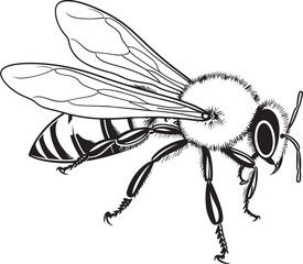 Detailed Bee Vector Drawing Featuring Clean Black Lines Graceful Bee Vector Icon with Flowing Black Line Design