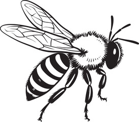 Stylish Bee Vector Logo Featuring Classic Black Linework Refined Bee Vector Illustration in Modern Black Line Style