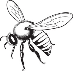 Refined Bee Vector Illustration in Modern Black Line Style Elegant Bee Vector Icon Design for Professional Branding