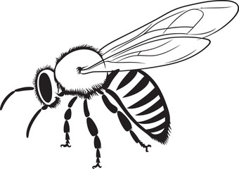 Graceful Bee Vector Icon with Flowing Black Line Design Modern Bee Illustration with Bold Black Vector Linework