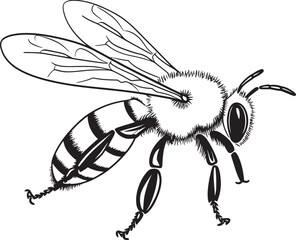 Detailed Bee Drawing Featuring Modern Black Vector Lines Clean Bee Vector Icon in Stylish Black Line Art Style