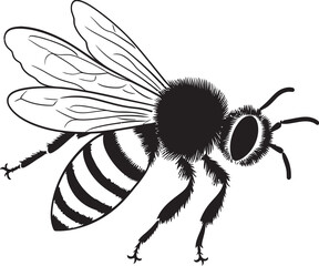 Artistic Bee Drawing Featuring Clean Black Line Elements Stylish Black Bee Logo with Sophisticated Vector Details
