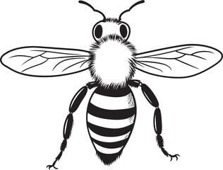 Detailed Bee Drawing with Artistic Black Vector Design Graceful Bee Illustration Featuring Sophisticated Black Lines