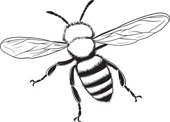 Stylish Bee Illustration Featuring Clean Black Vector Lines Beautiful Bee Vector Drawing in Sophisticated Black Line Art
