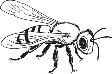 Elegant Bee Vector Drawing Featuring Artistic Black Lines Artistic Bee Illustration with Refined Black Vector Elements