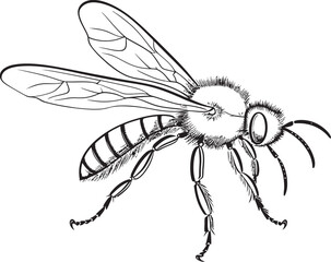 Graceful Bee Drawing with Sophisticated Black Vector Style Modern Bee Illustration Featuring Smooth Black Line Elements