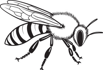 Beautiful Bee Vector Drawing in Bold Black Line Style Detailed Bee Illustration Featuring Artistic Black Vector Lines