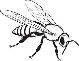 Black Bee Vector Art with Classic Linework for Branding Contemporary Bee Illustration in Artistic Black Line Style