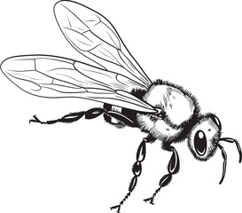 Contemporary Bee Illustration in Artistic Black Line Style Stylish Bee Vector Drawing with Modern Black Outlines
