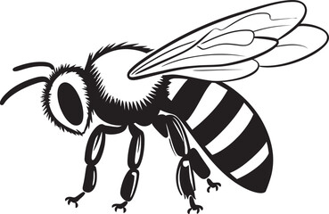 Sophisticated Bee Illustration with Flowing Black Lines Modern Bee Drawing with Smooth Black Vector Details